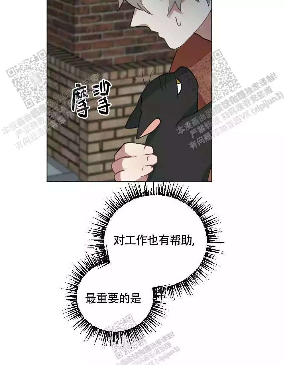 23.jpg