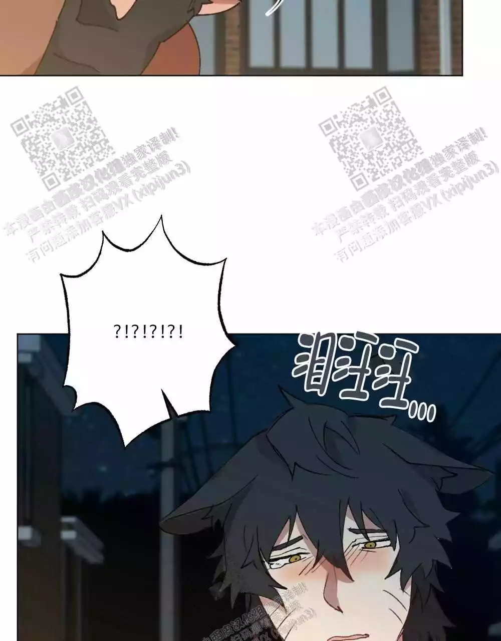 33.jpg
