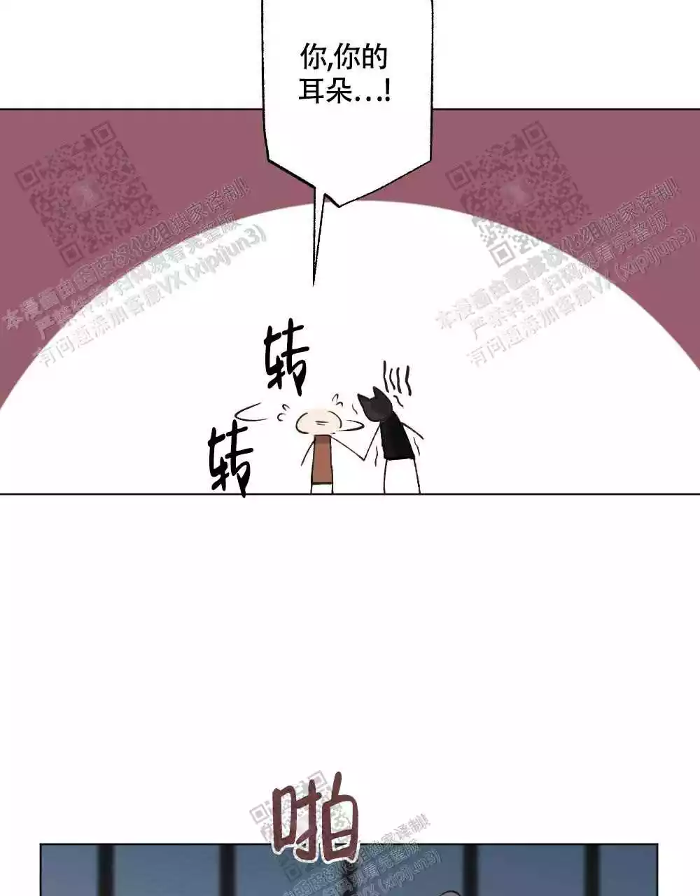 35.jpg