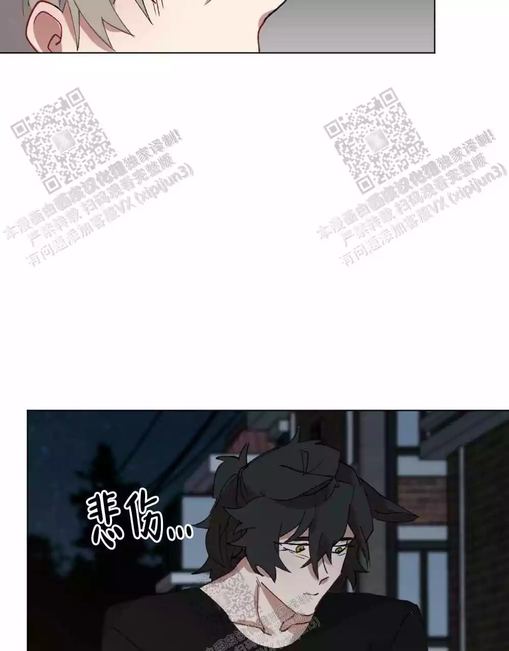 49.jpg