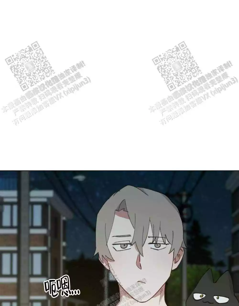 51.jpg