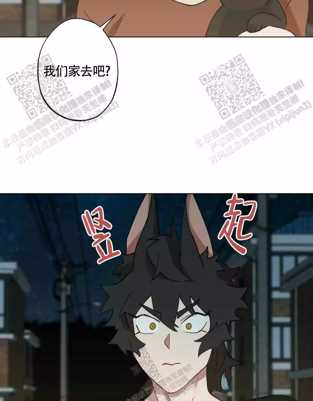 55.jpg