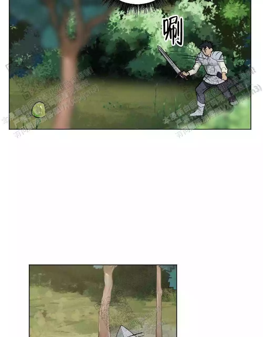 33.jpg