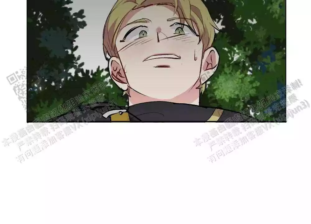 42.jpg