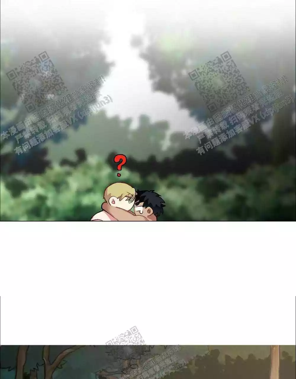 15.jpg