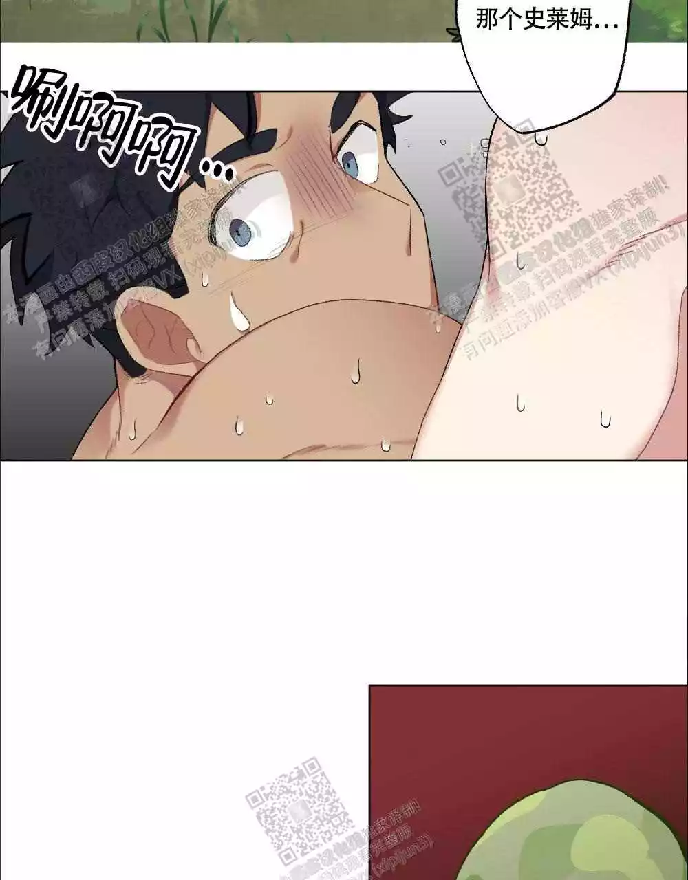 17.jpg