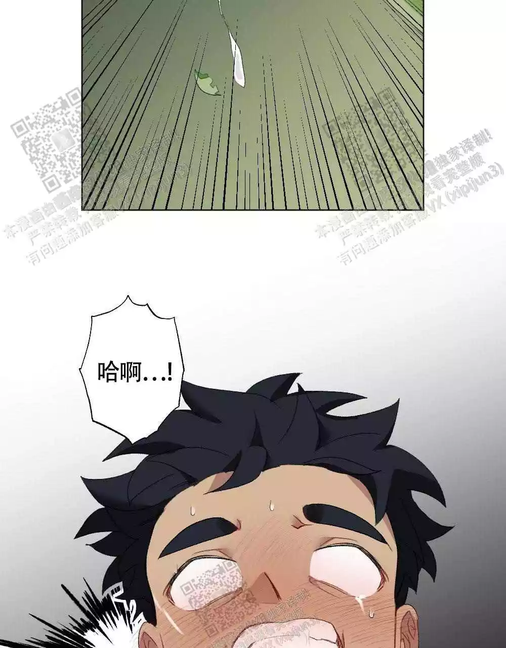 31.jpg