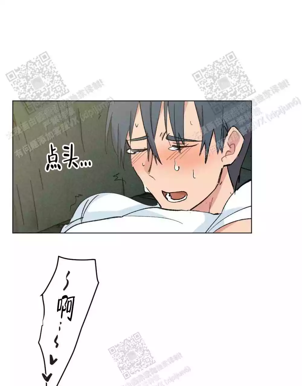 21.jpg