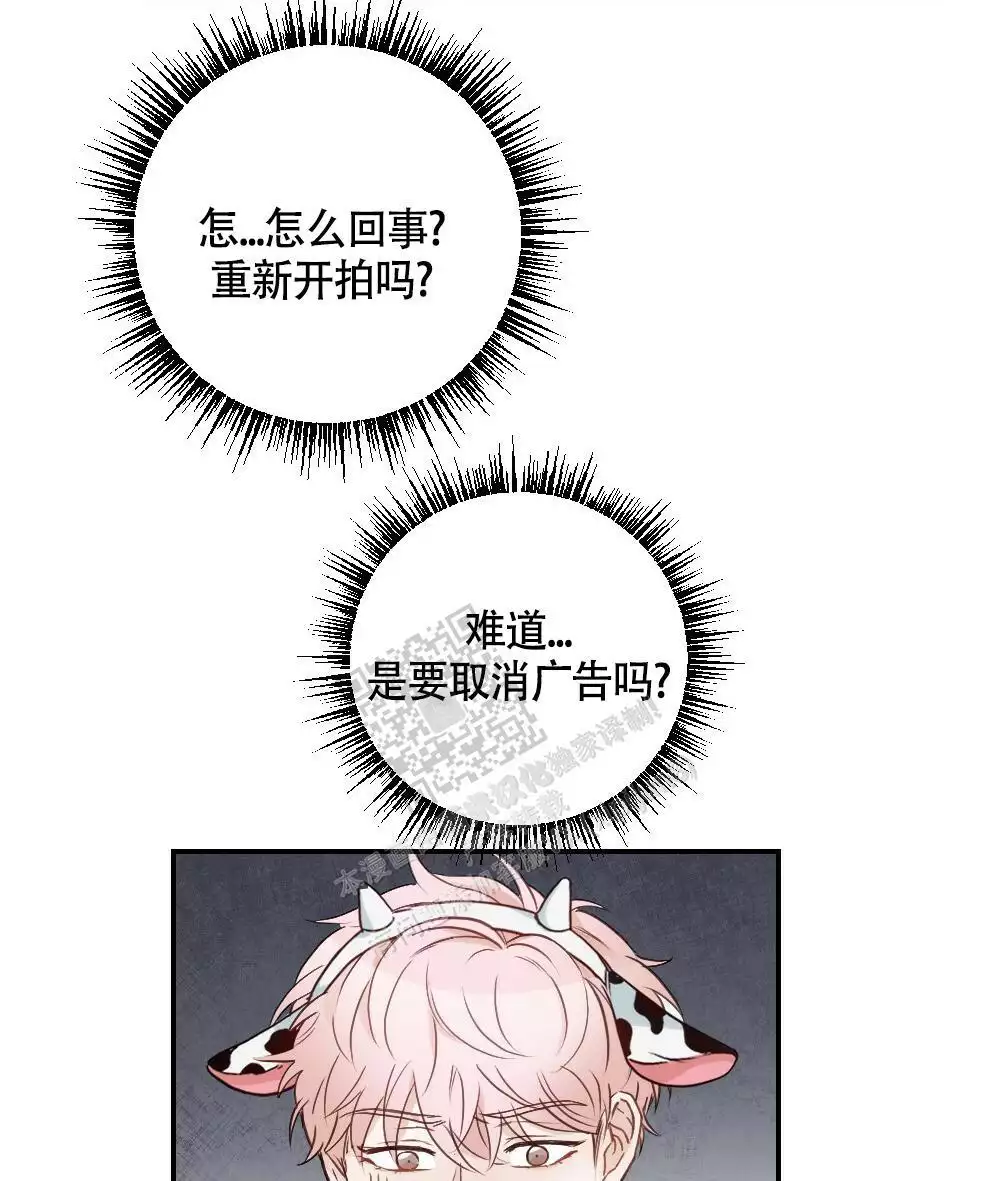 51.jpg