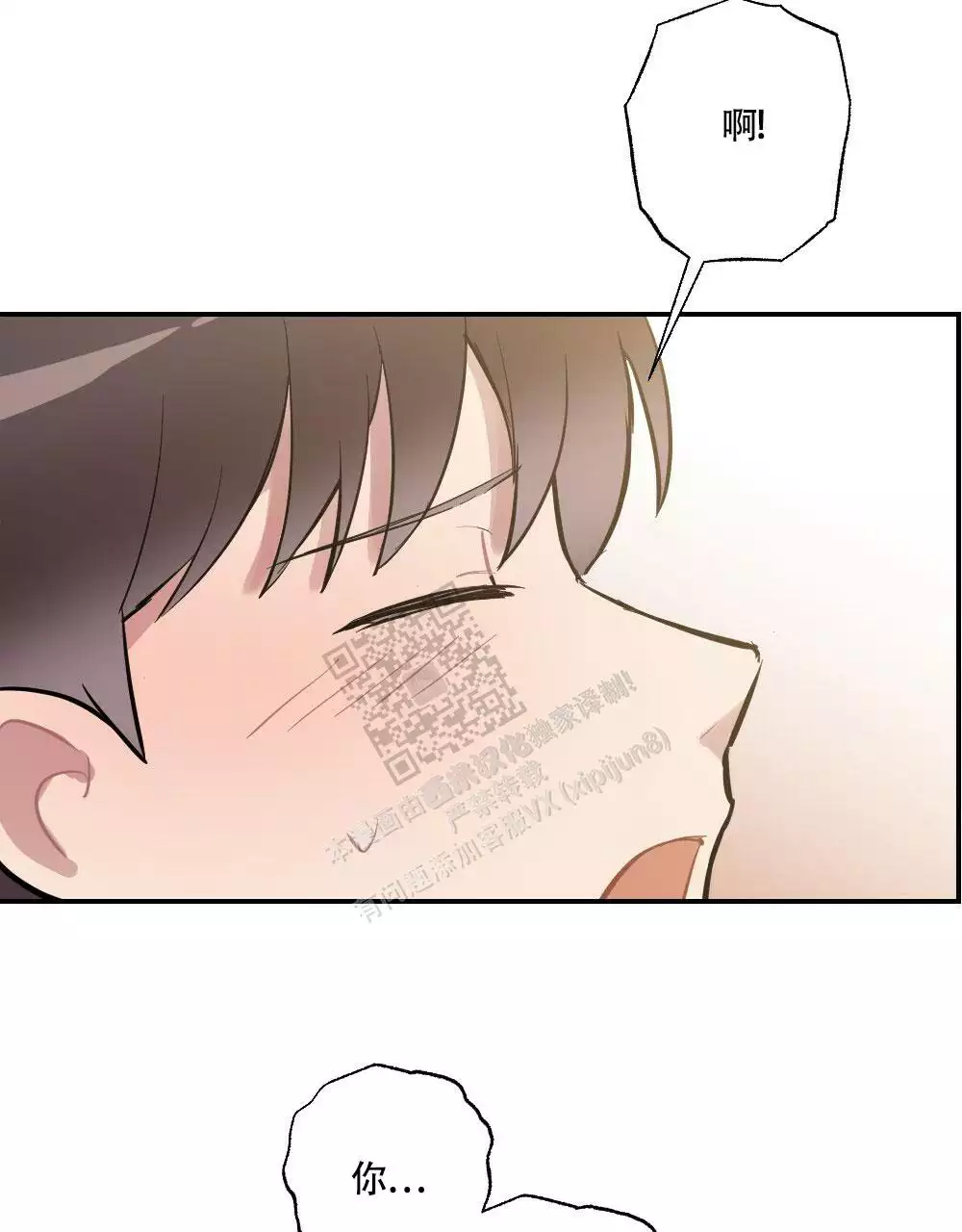 48.jpg