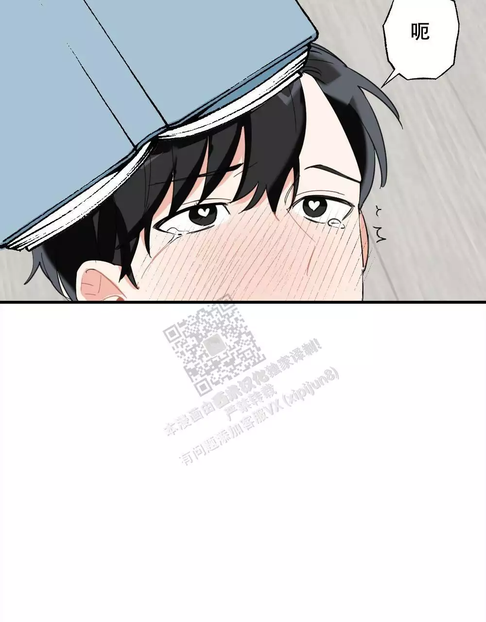 13.jpg