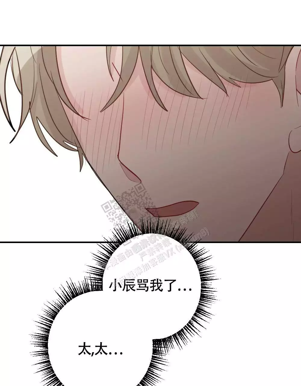 51.jpg