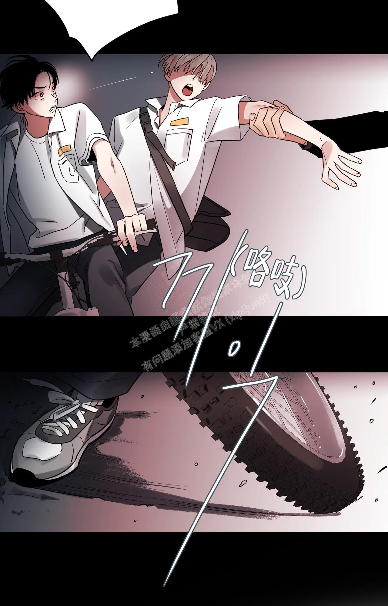 12.jpg