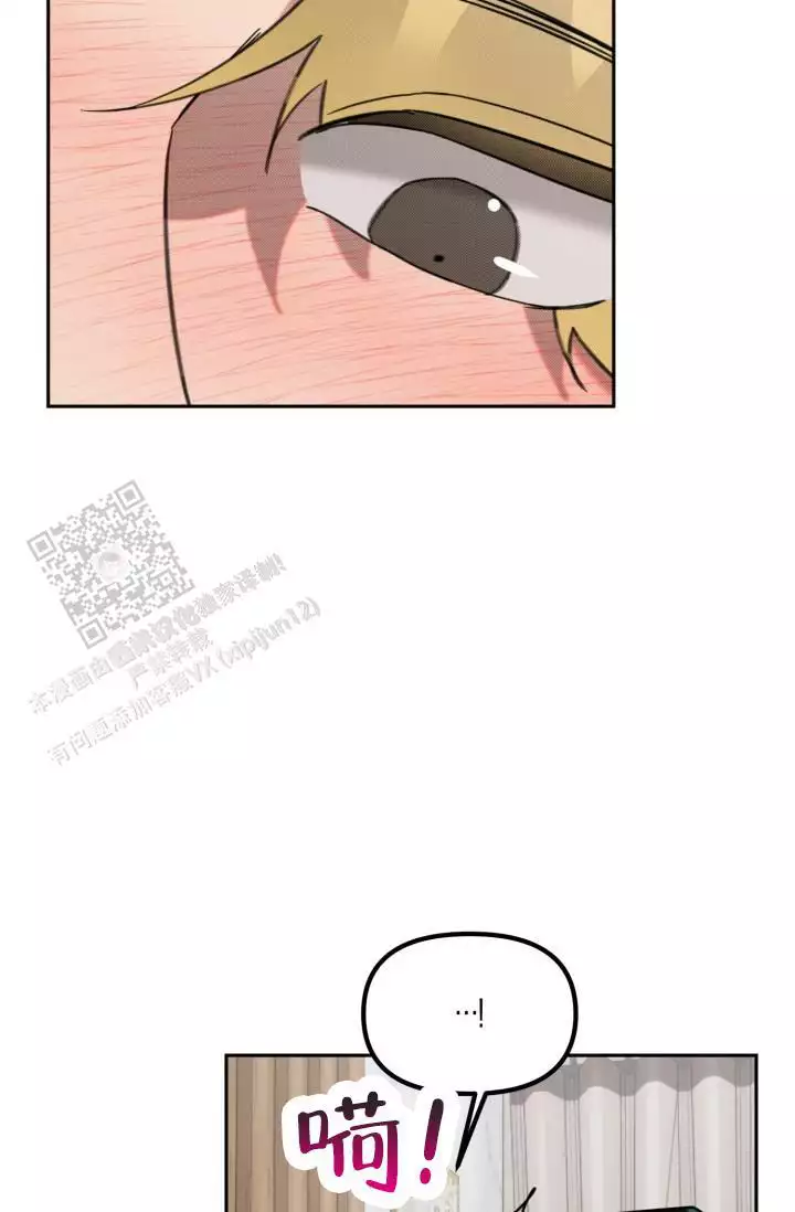 44.jpg