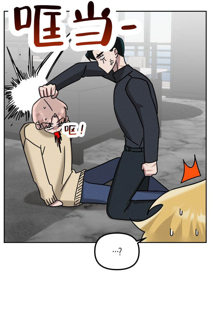 24.jpg