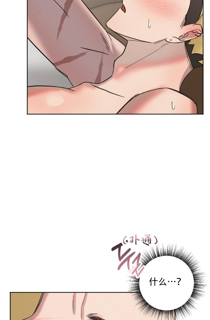 36.jpg