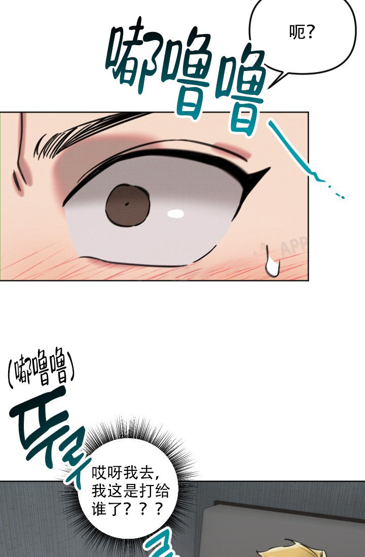 16.jpg