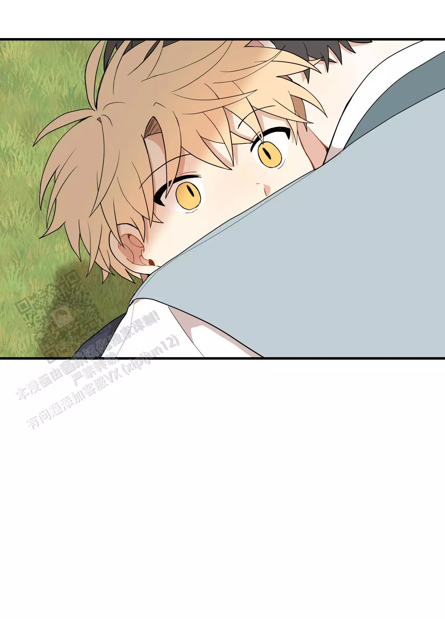 6.jpg