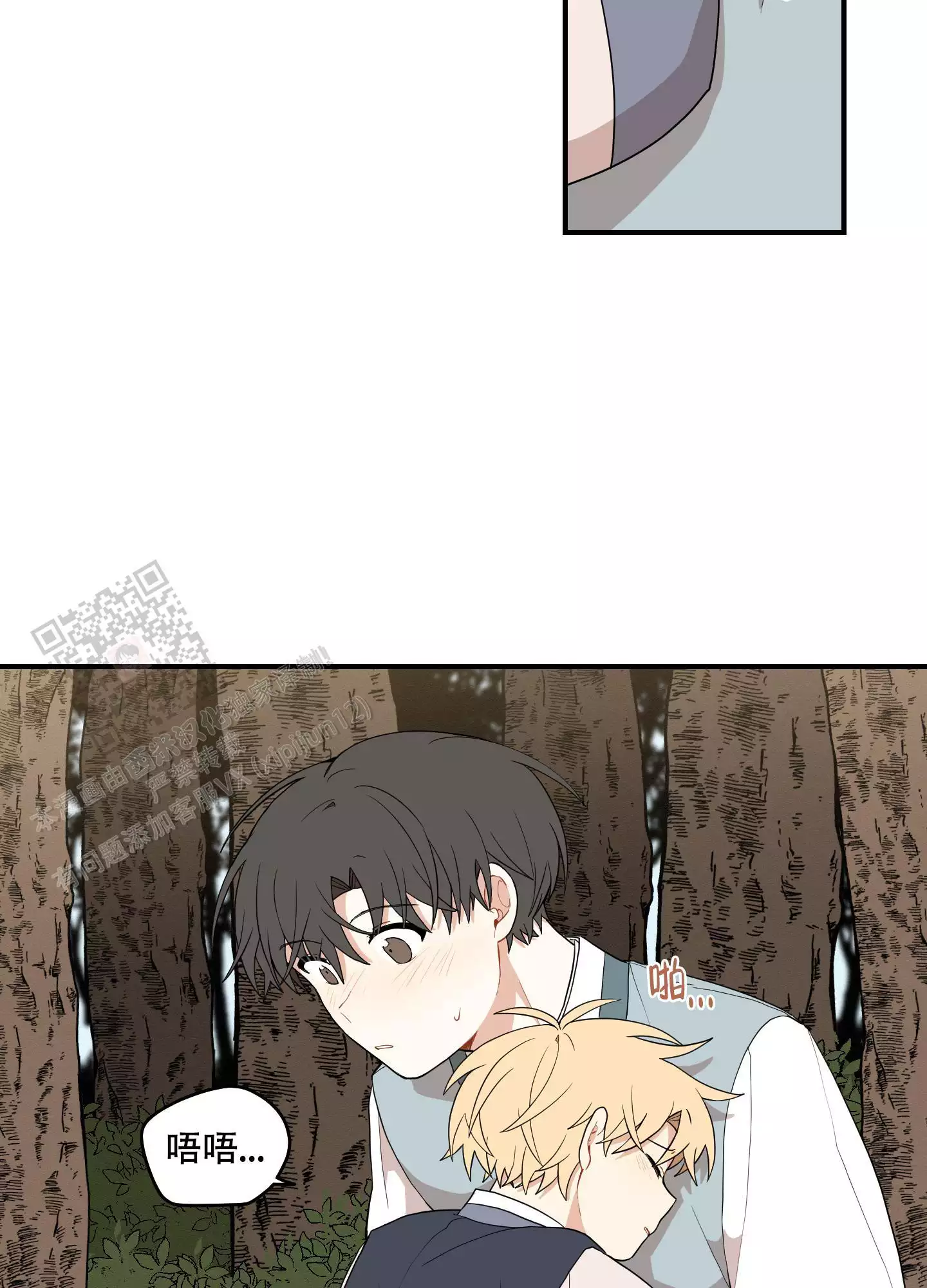 12.jpg
