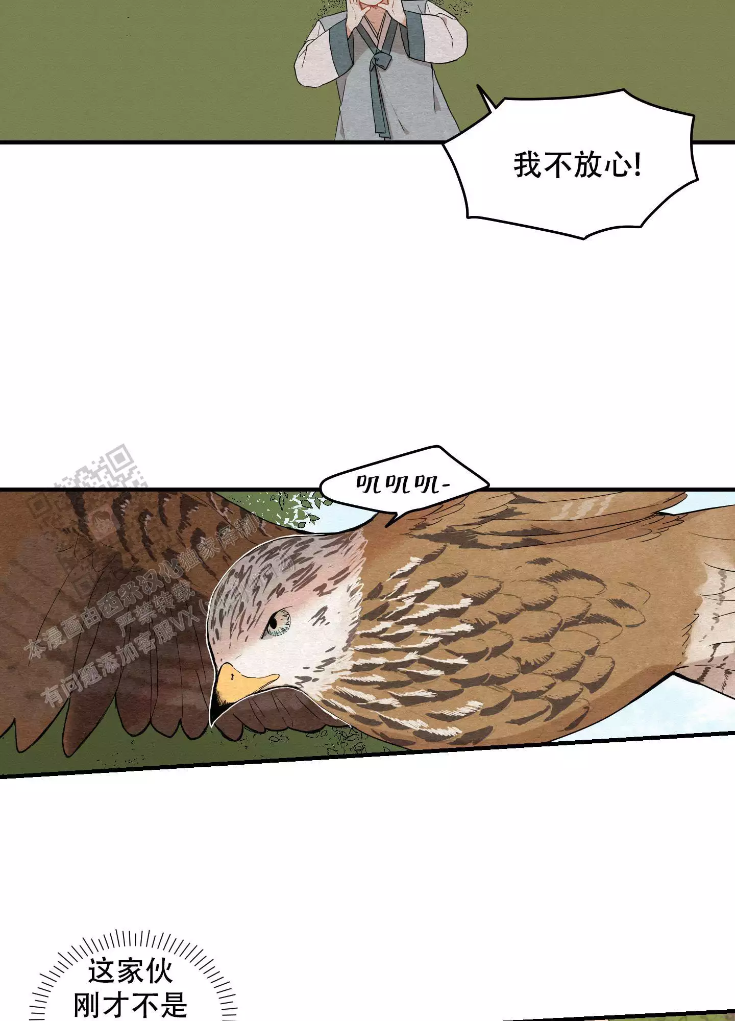 33.jpg