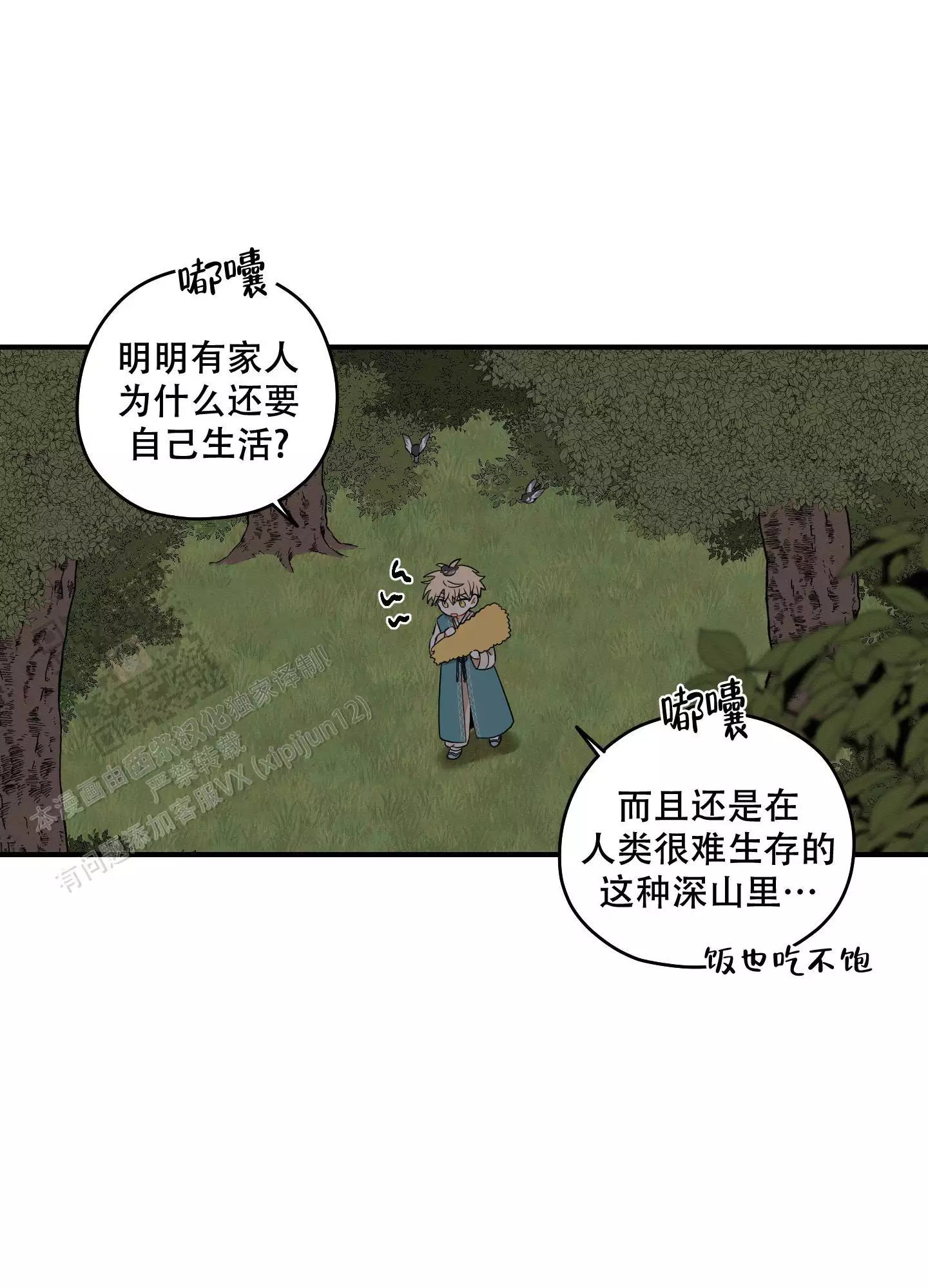 29.jpg