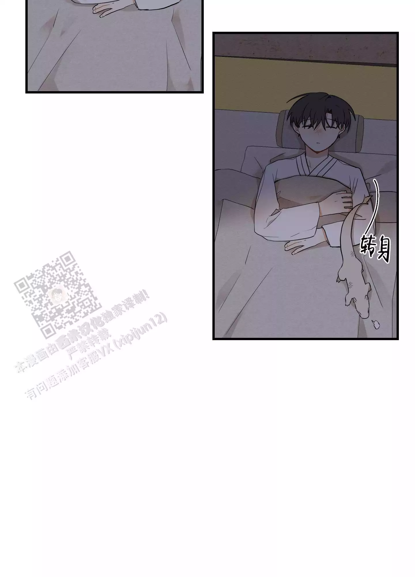 33.jpg