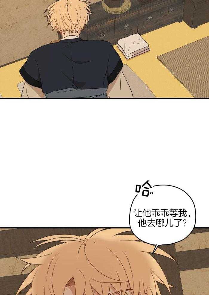 35.jpg
