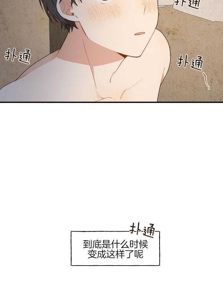 26.jpg