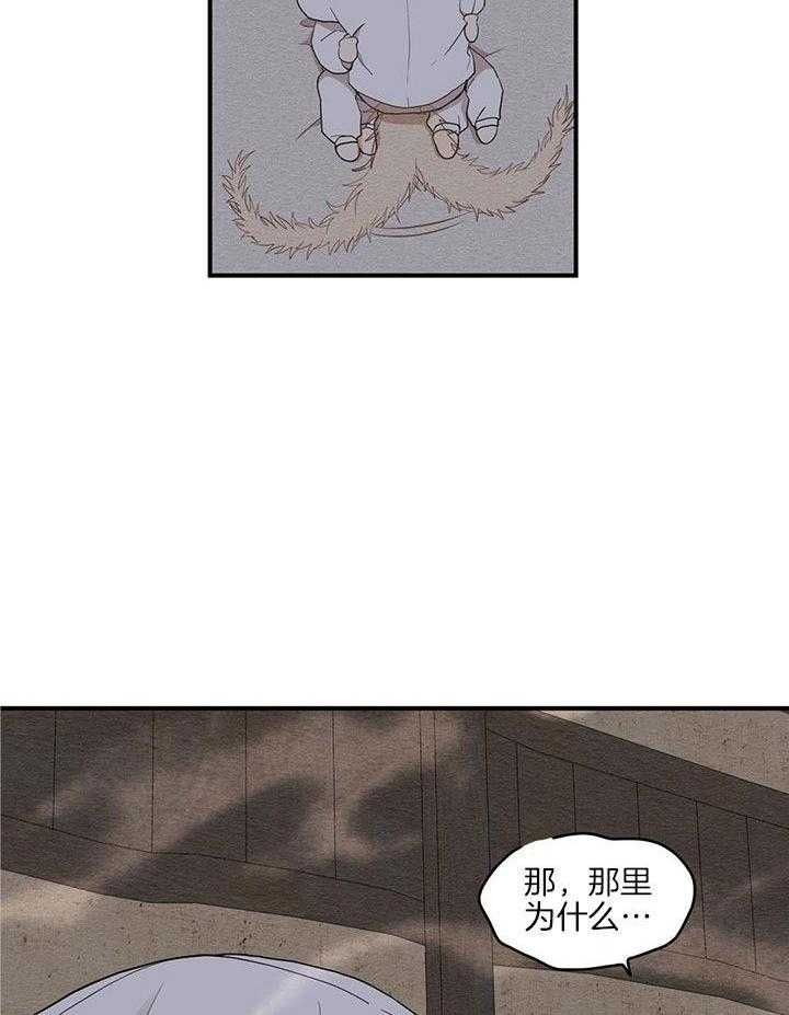 25.jpg