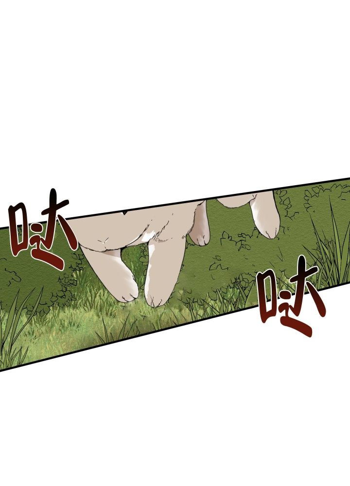 32.jpg