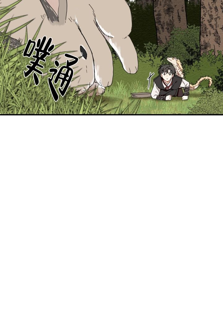 40.jpg