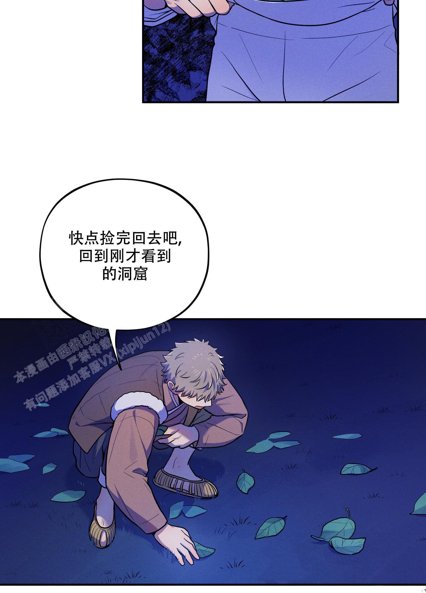 15.jpg