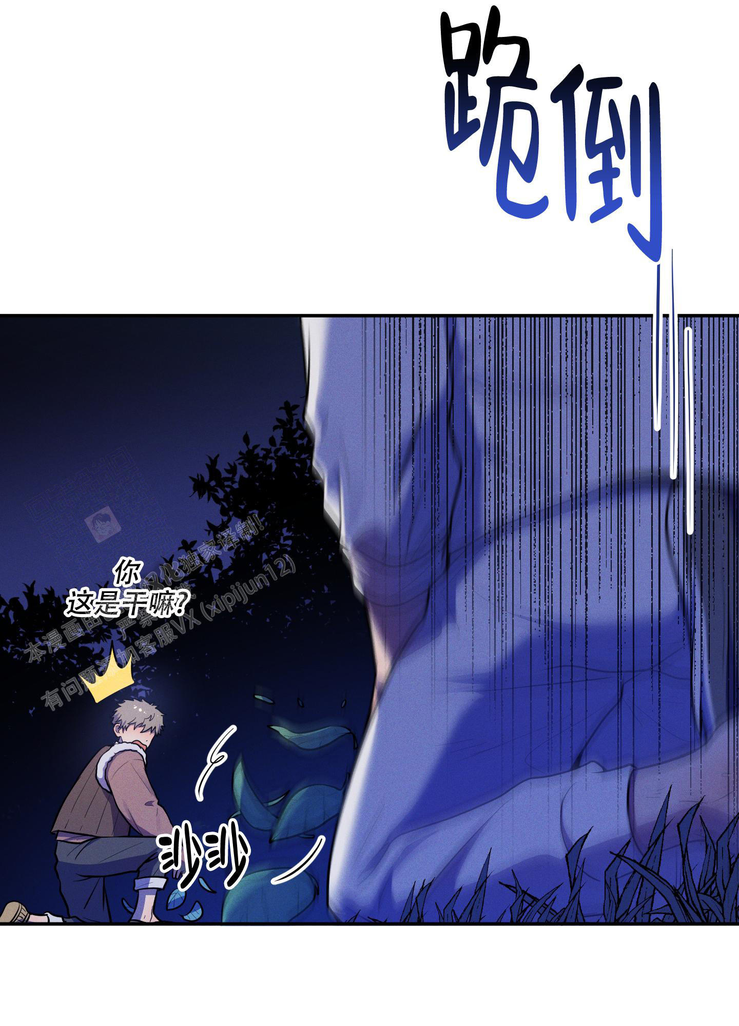 16.jpg