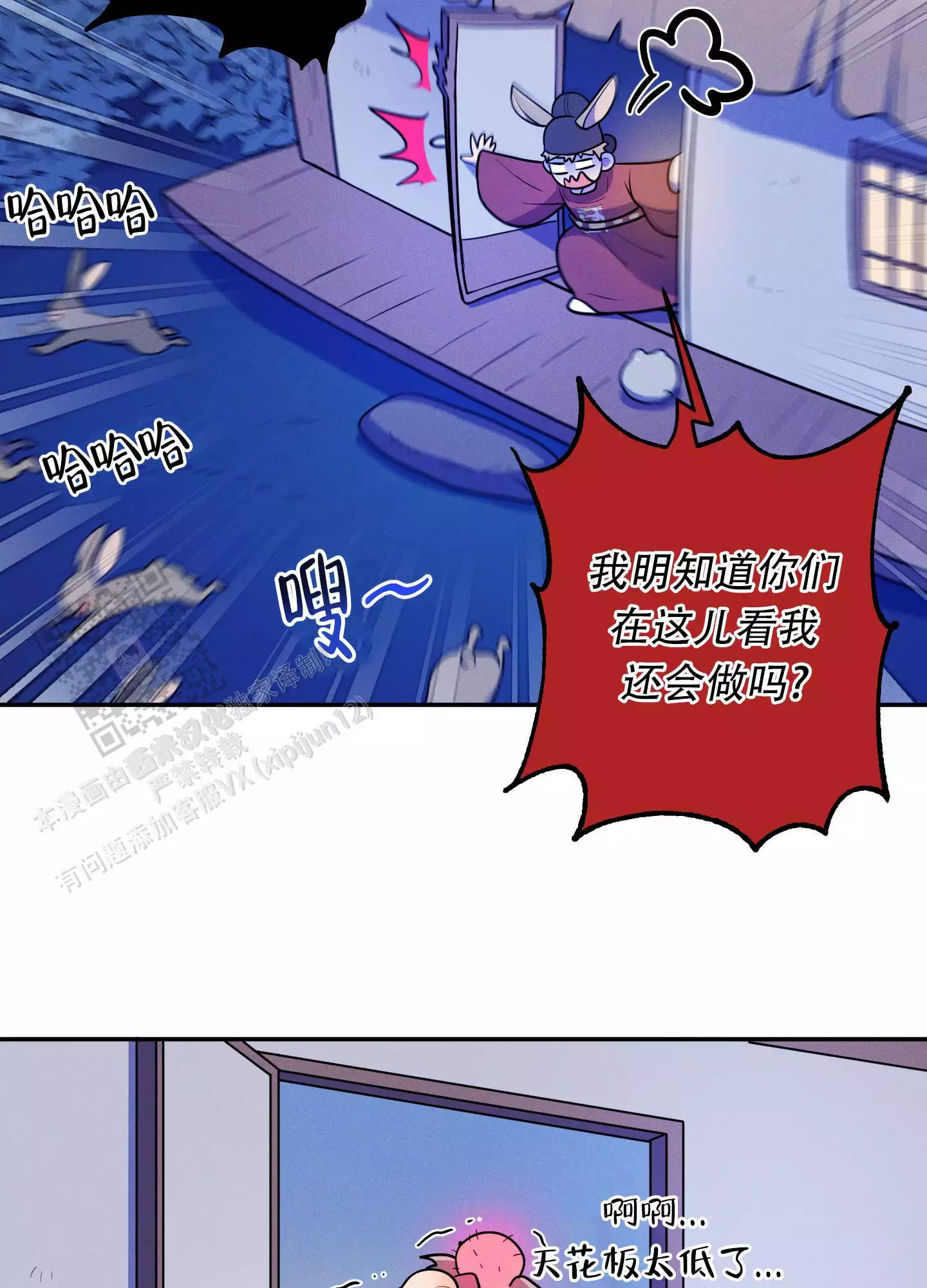 24.jpg