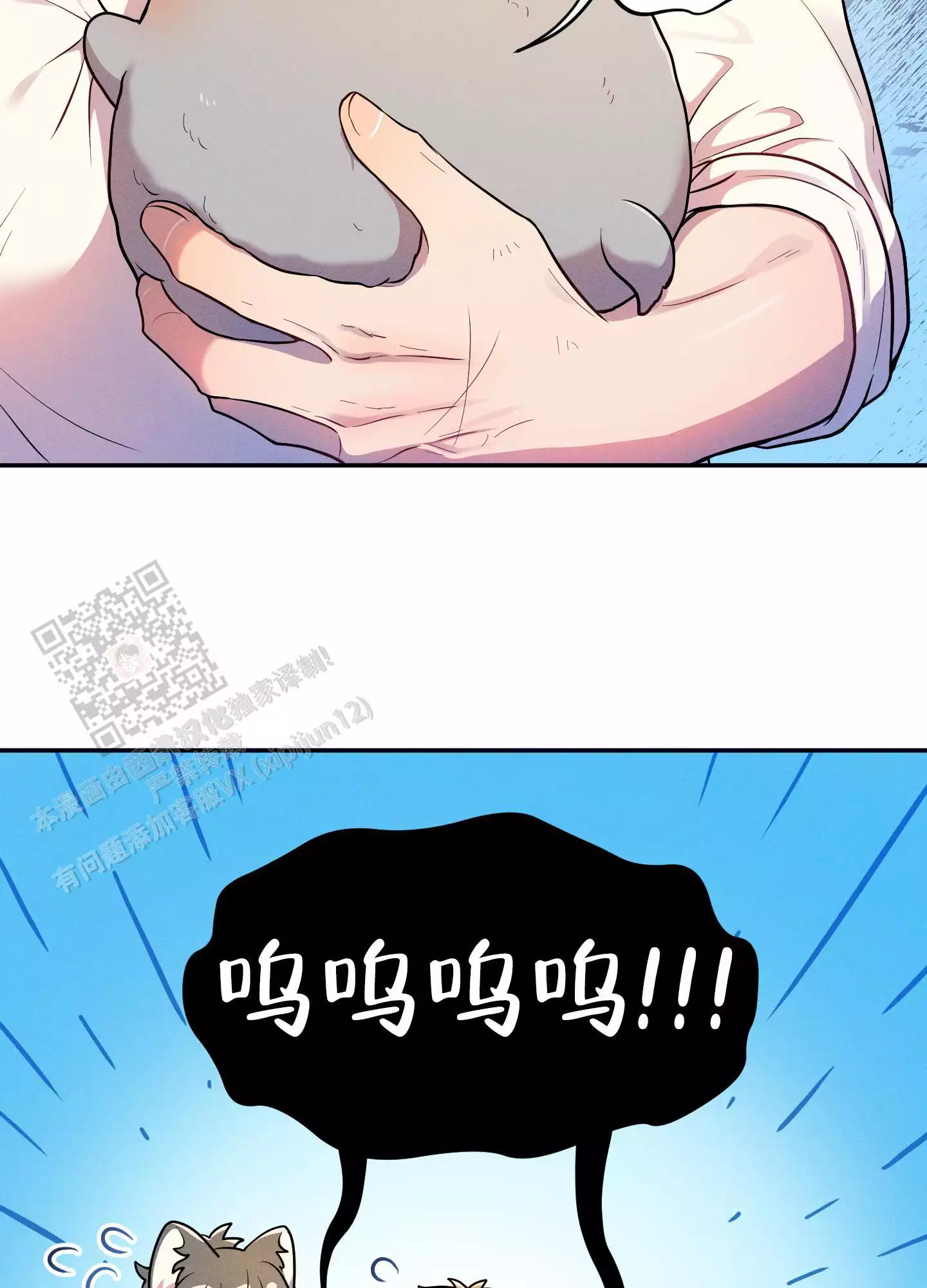 23.jpg