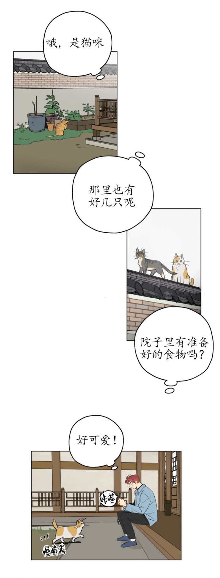 1.jpg