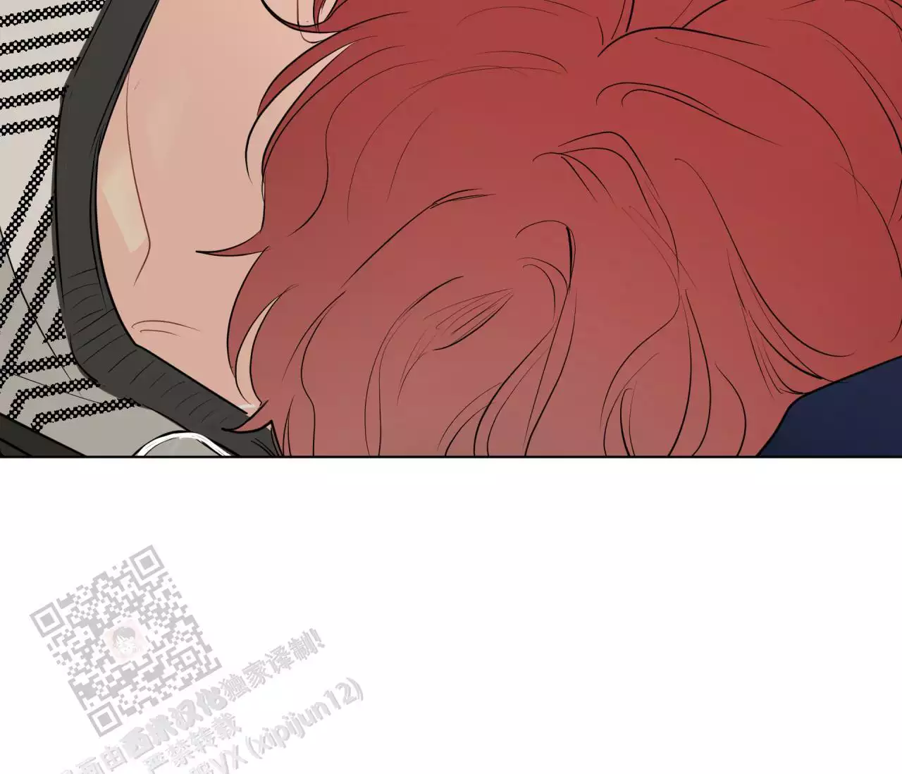 41.jpg