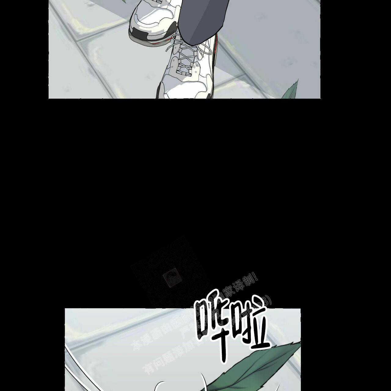 48.jpg