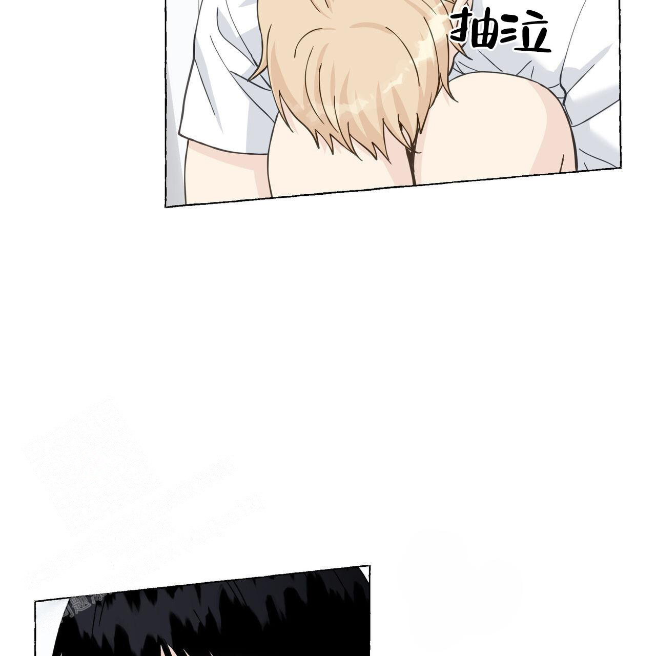 49.jpg