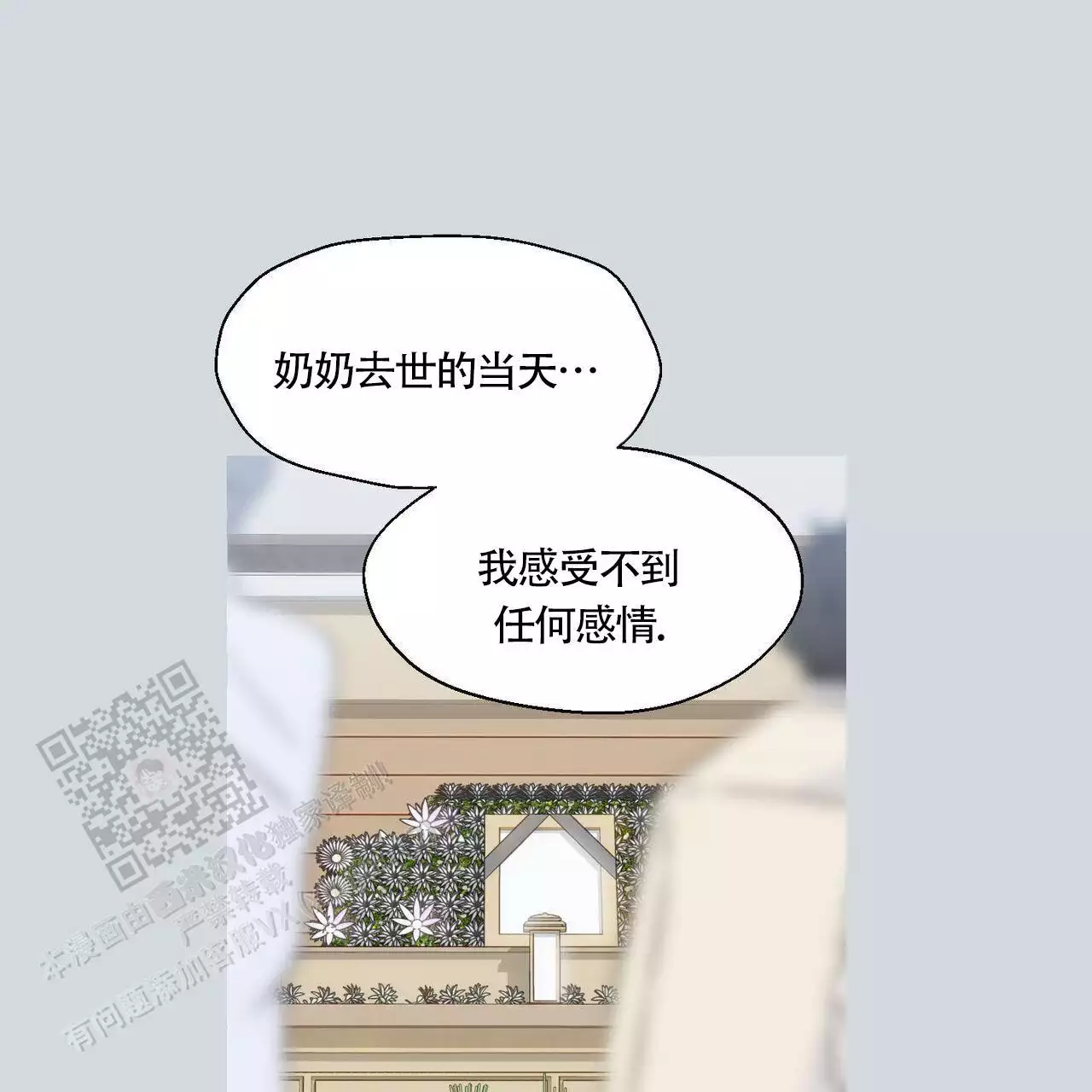 73.jpg