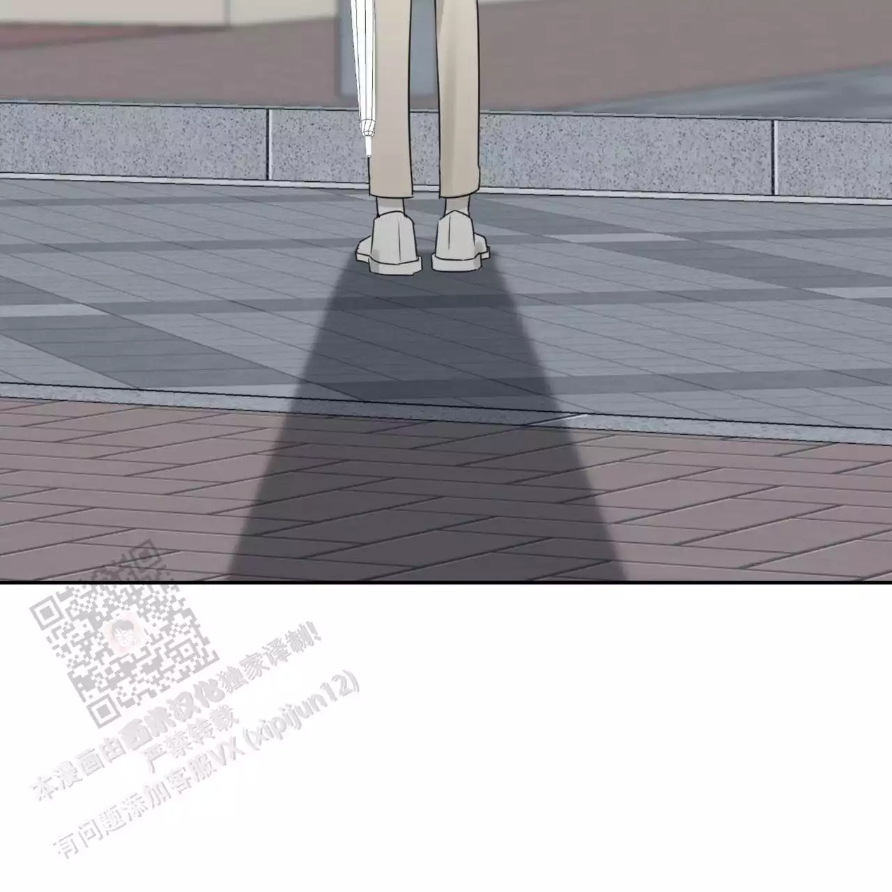 49.jpg