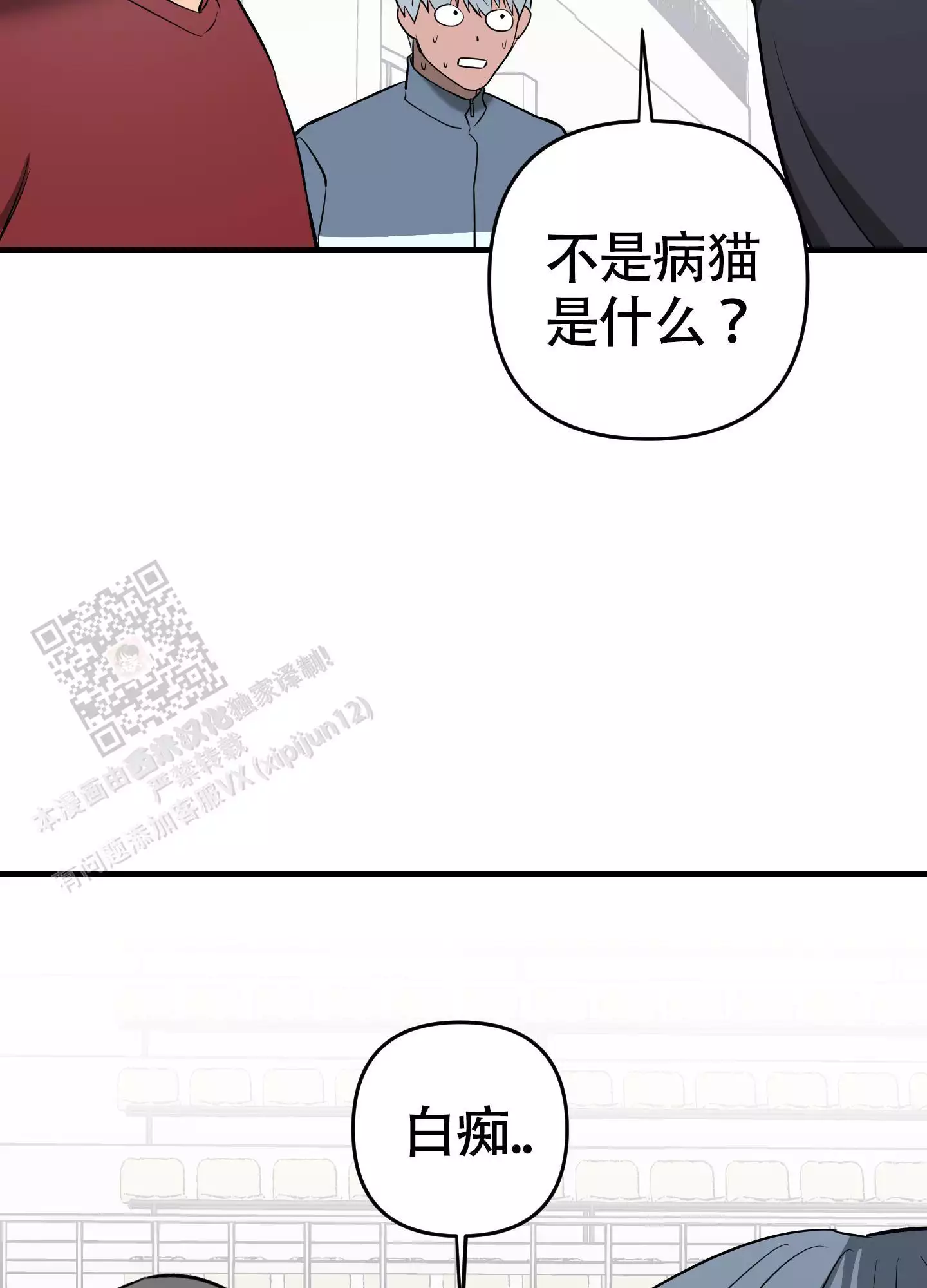 26.jpg