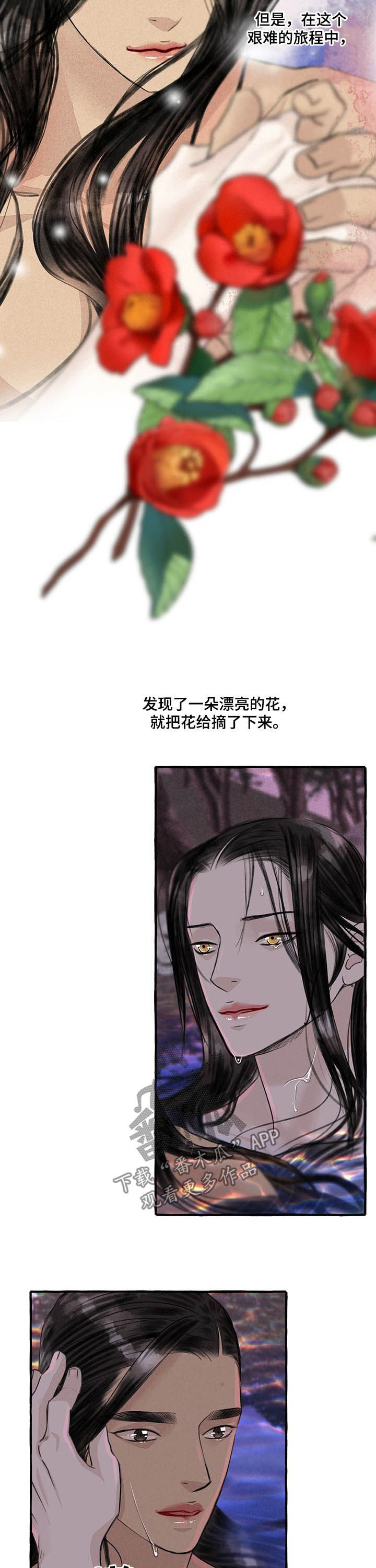 13.jpg