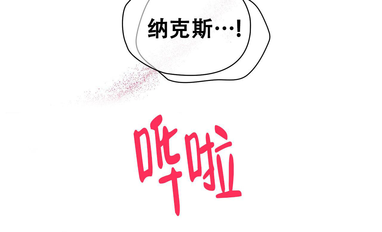 73.jpg