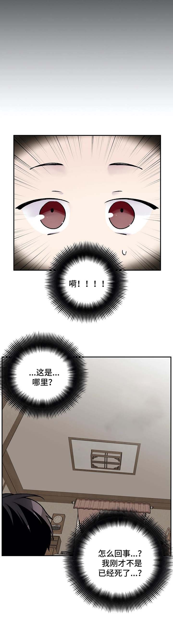 11.jpg