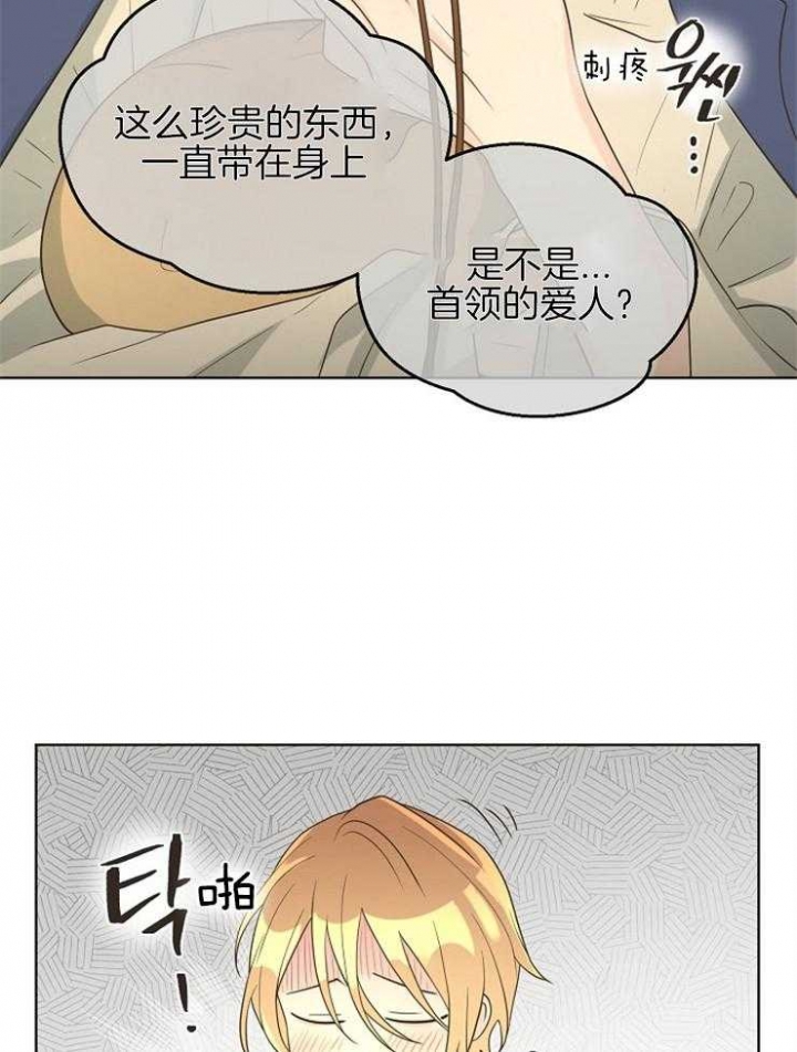 13.jpg