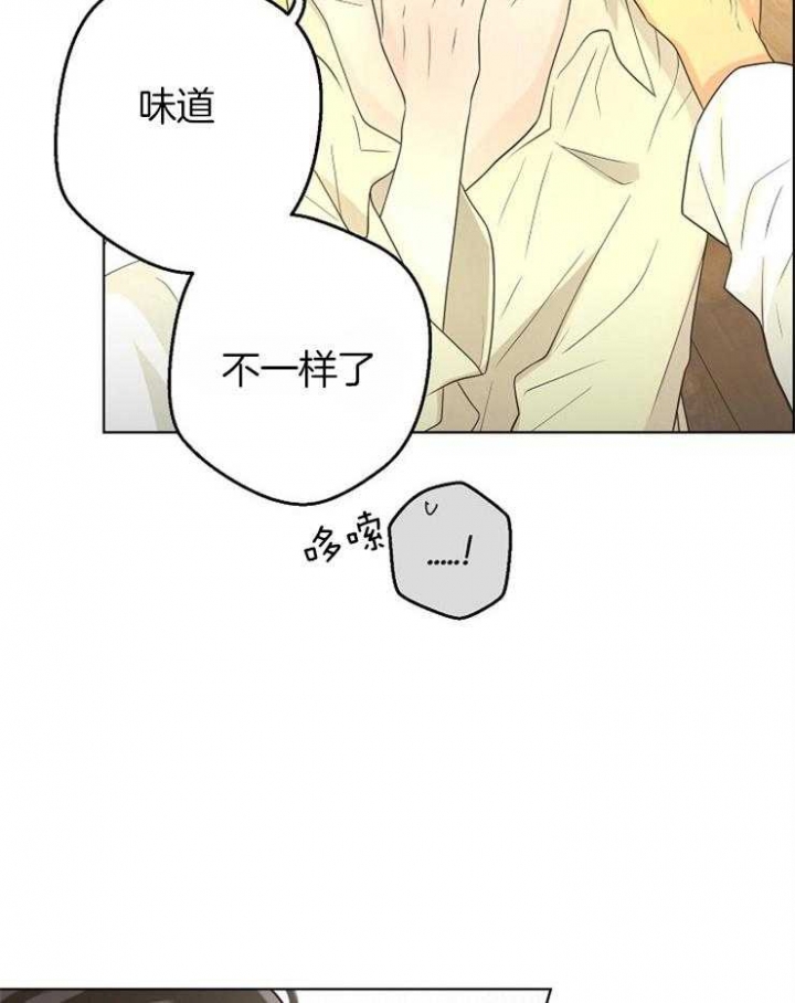 27.jpg