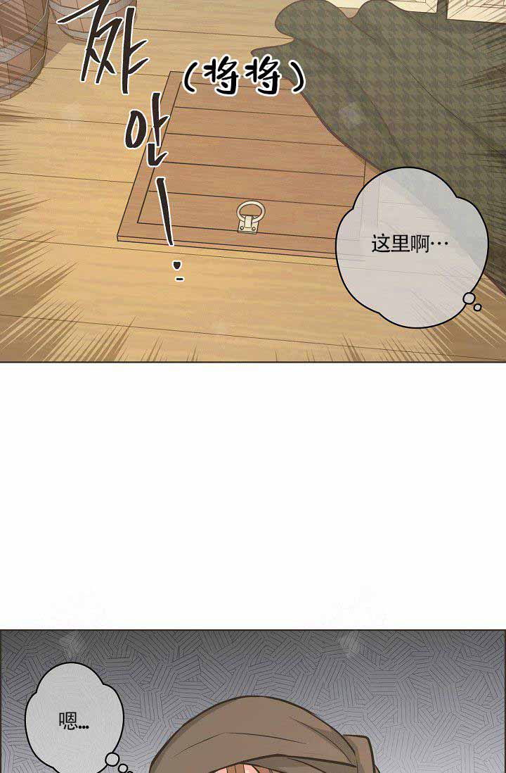 17.jpg
