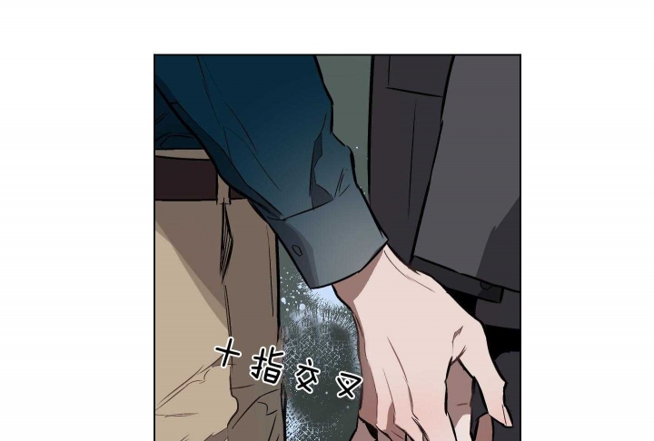 47.jpg