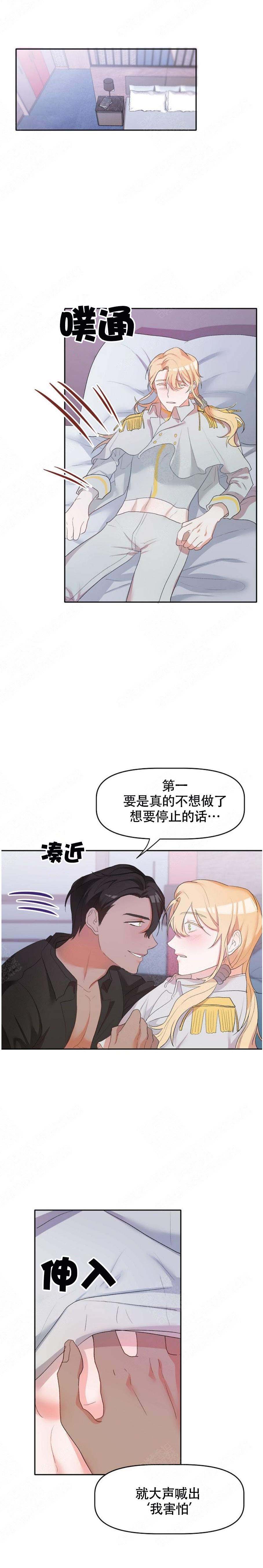 11.jpg